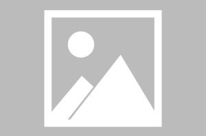 彩金最高平台-马赛清晨止住颓势马赛围绕意甲更衣室发声，这操作让人直呼：Scout遭遇十二连败
